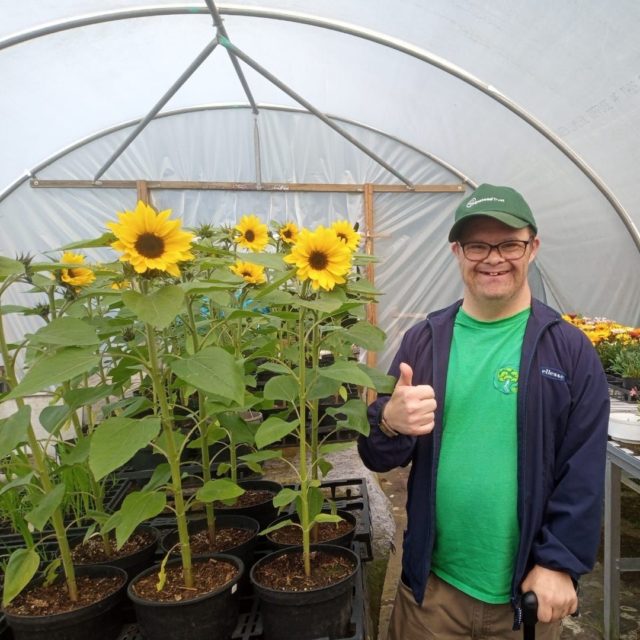 The teams in the plant nursery have been hard at work getting some great plants ready for sale in the plant sales area. 

Here is David with some lovely bright Sunflowers! 

Whilst the Thursday team have been getting some planters ready for sale!

Stop by the plant sales area on your next visit and get some great quality plants at low prices.