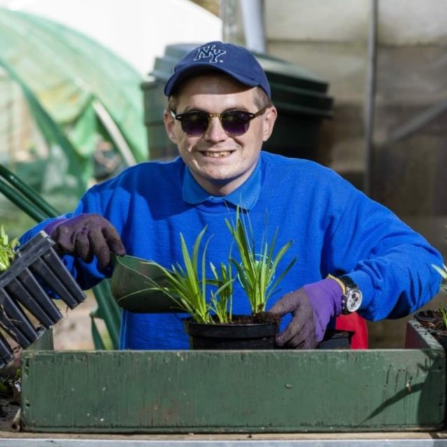 **Big autumn plant sale**

Stop by our plant sales area and pick up a bargain! All plants are at an incredible sale price of just £2.

These plants have been raised and nurtured by people with learning disabilities in our onsite plant nursery.

Quality plants at bargain prices.